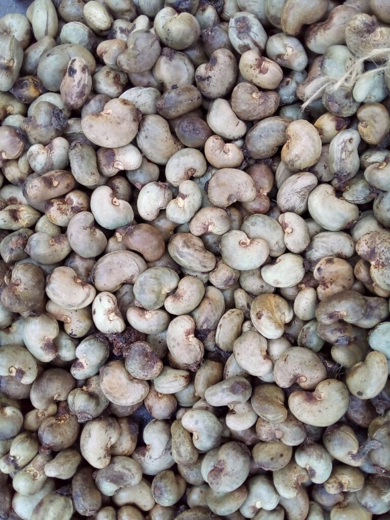 Cashewnuts