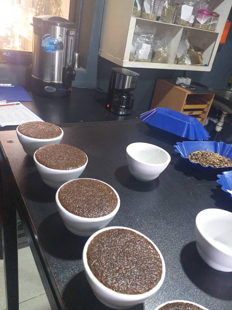 Brew & Quality Check